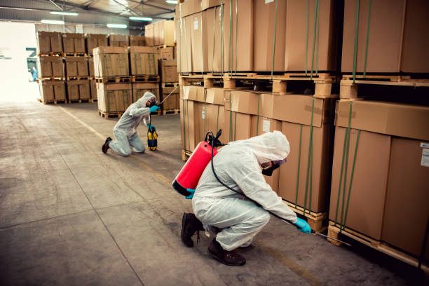 Best Best Pest Control Companies  in Libertyvle, IL