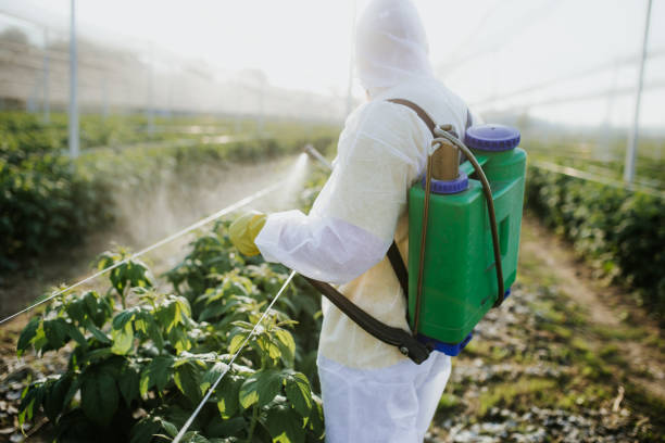 Best Pest Inspection Near Me  in Libertyvle, IL